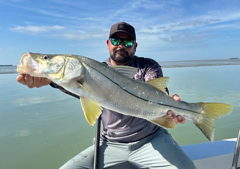 Fishing in Tavernier, Florida