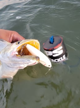 Speckled Trout Fishing in Rio Hondo, Texas