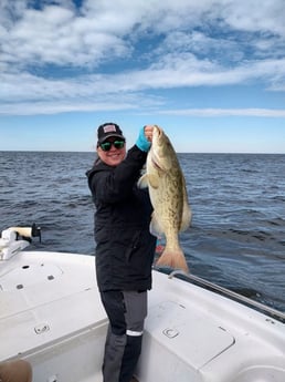 Gag Grouper Fishing in Crystal River, Florida
