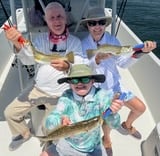 Fishing in St. Petersburg, Florida