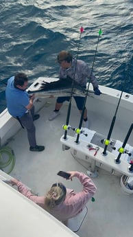 Fishing in Hillsboro Beach, Florida