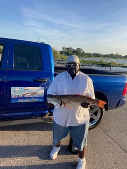 Redfish Fishing in St. Petersburg, Florida