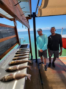 Redfish Fishing in Rio Hondo, Texas