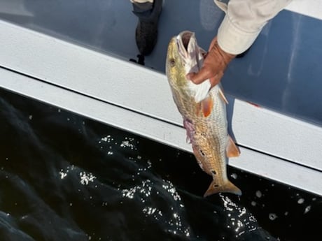 Fishing in Slidell, Louisiana