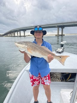 Fishing in Gulf Shores, Alabama