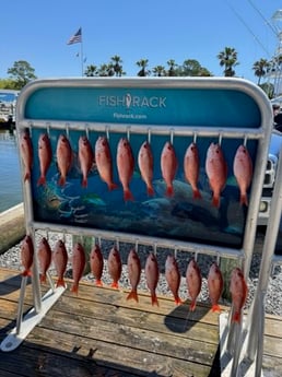 Fishing in Shalimar, Florida