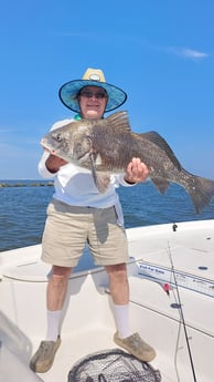 Black Drum Fishing in Saint Bernard, Louisiana
