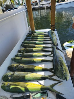 Fishing in Key Largo, Florida