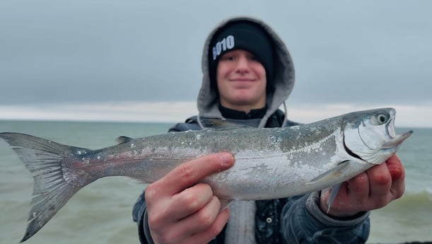 Coho Salmon Fishing in