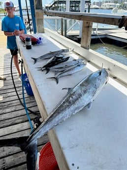 Fishing in Orange Beach, Alabama