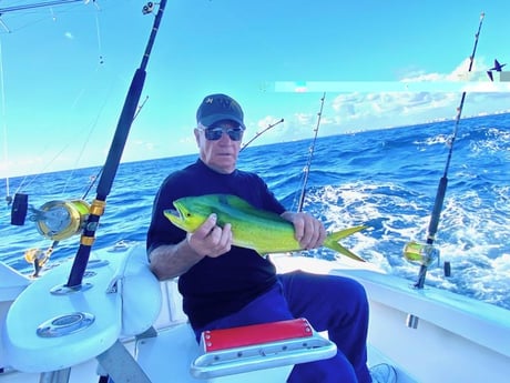 Mahi Mahi Fishing in Pompano Beach, Florida