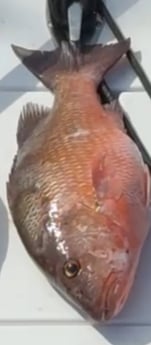 Fishing in Tierra Verde, Florida