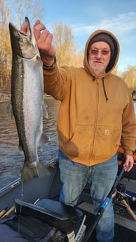 Steelhead Fishing in Verona Beach, New York