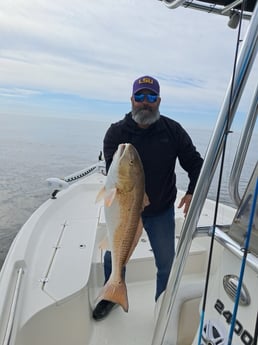 Fishing in Orange Beach, Alabama