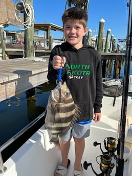 Sheepshead Fishing in Orange Beach, Alabama