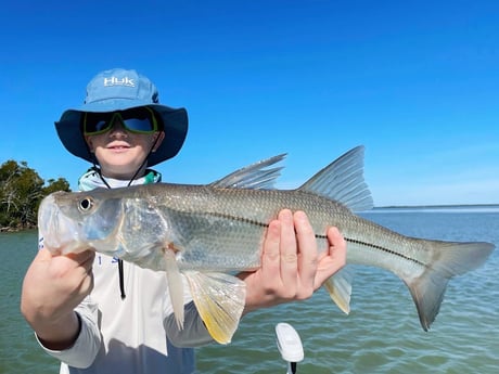 Snook Fishing in Tavernier, Florida