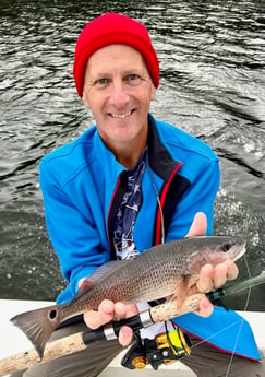 Redfish Fishing in Tampa, Florida