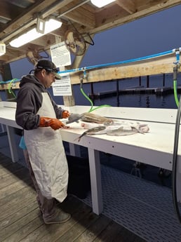 Fishing in Elberta, Alabama