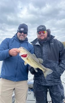 Largemouth Bass Fishing in Alba, Texas