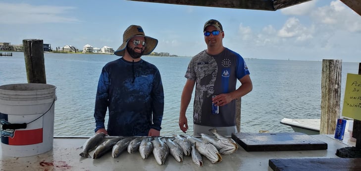 Speckled Trout / Spotted Seatrout fishing in Galveston, Texas