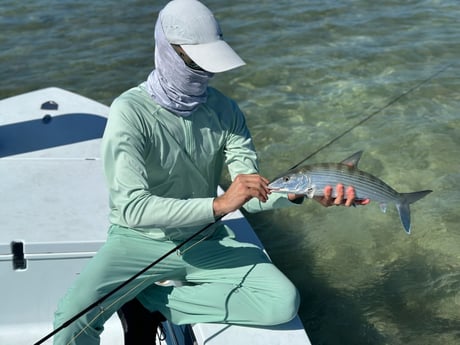 Bonefish Fishing in