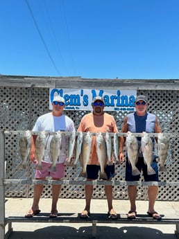 Black Drum, Redfish, Speckled Trout Fishing in Corpus Christi, Texas