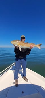 Fishing in Orange Beach, Alabama
