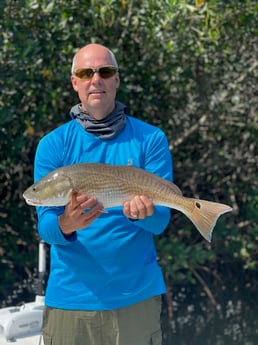 Redfish Fishing in Tampa, Florida