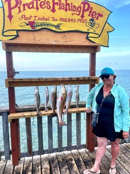 Redfish, Speckled Trout / Spotted Seatrout fishing in South Padre Island, Texas