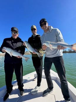Fishing in Sarasota, Florida