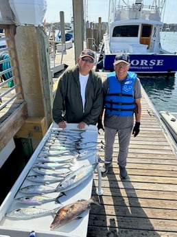Spanish Mackerel Fishing in Wilmington, North Carolina