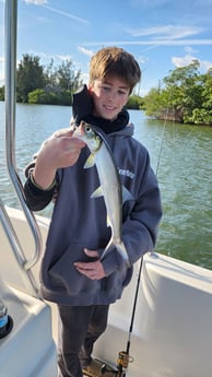 Fishing in Sebastian, Florida