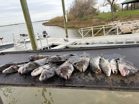 Fishing in Galveston, Texas