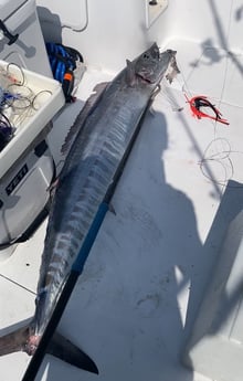 Wahoo Fishing in Sulphur, Louisiana