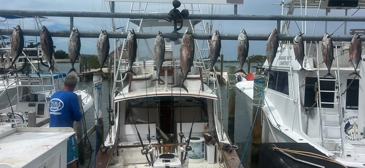 Fishing in Islamorada, Florida