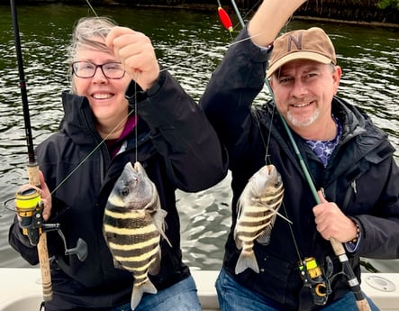 Sheepshead Fishing in Tampa, Florida