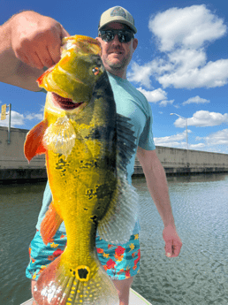 Fishing in Key Biscayne, Florida