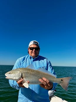 Redfish Fishing in Sarasota, Florida