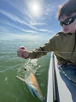 Fishing in Miami, Florida
