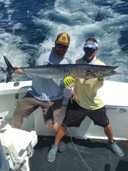 Wahoo fishing in Key West, Florida
