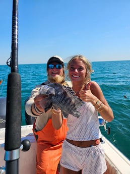 Black Seabass Fishing in