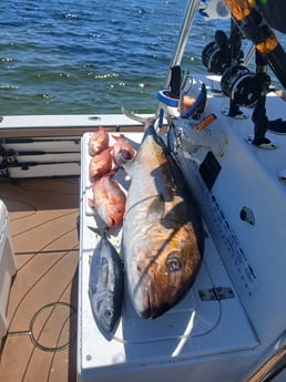 Fishing in Pensacola, Florida