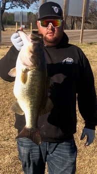 Largemouth Bass Fishing in Alba, Texas