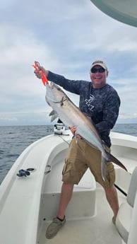 Amberjack Fishing in