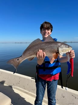 Redfish Fishing in Saint Bernard, Louisiana