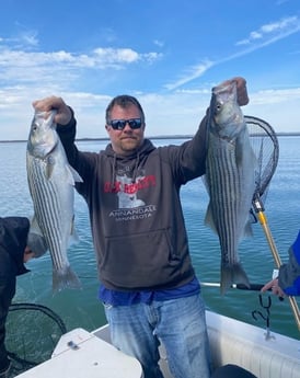 Striped Bass fishing in Burnet, Texas