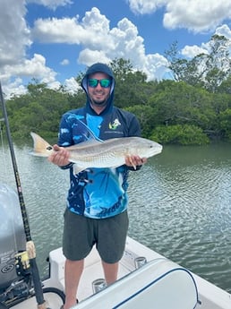 Redfish Fishing in Naples, Florida
