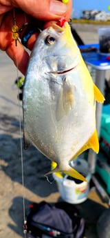 Fishing in Stone Harbor, New Jersey