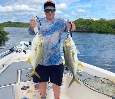 Snook Fishing in Sarasota, Florida