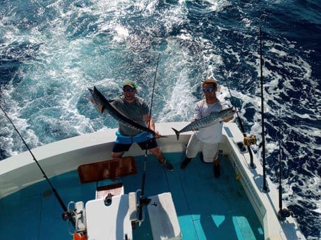 Wahoo Fishing in West Palm Beach, Florida